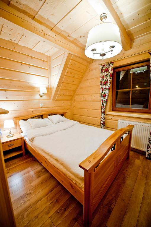 Salamandra Kościelisko Kamer foto