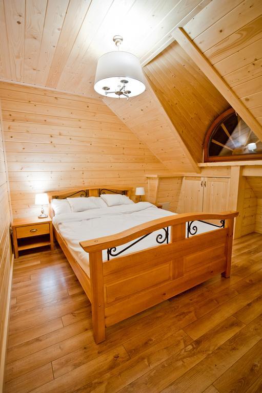 Salamandra Kościelisko Kamer foto